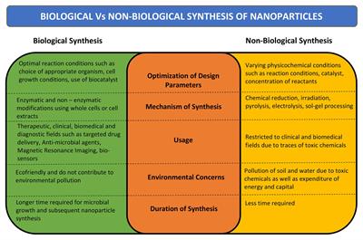 The Emerging Trend of Bio-Engineering Approaches for Microbial Nanomaterial Synthesis and Its Applications